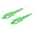 FO-SASA-SS21-0200-WH