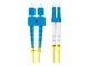 FO-SULU-SD11-0020-YE