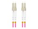 FO-LULU-MD41-0050-VT