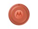 Mobil - Andet Tilbehør - Motorola moto tag 2 - PANTONE Arabesque (1x) - PG38C08027