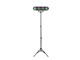 PBONE