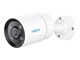 ColorX Series P320X - PoE