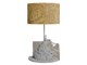 LAMP056