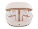 3666339329075