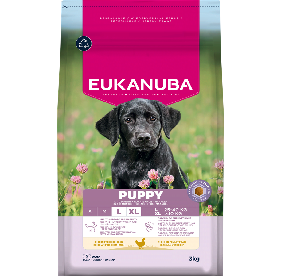 Hunde - Eukanuba Puppy Large Breed Fresh Chicken 3kg - EH030300