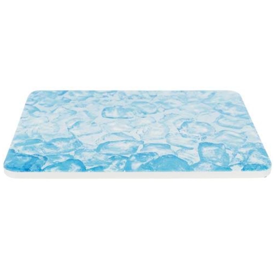 Kanin & gnaver - Trixie Cooling Plate 20x15 cm blue - TX63011
