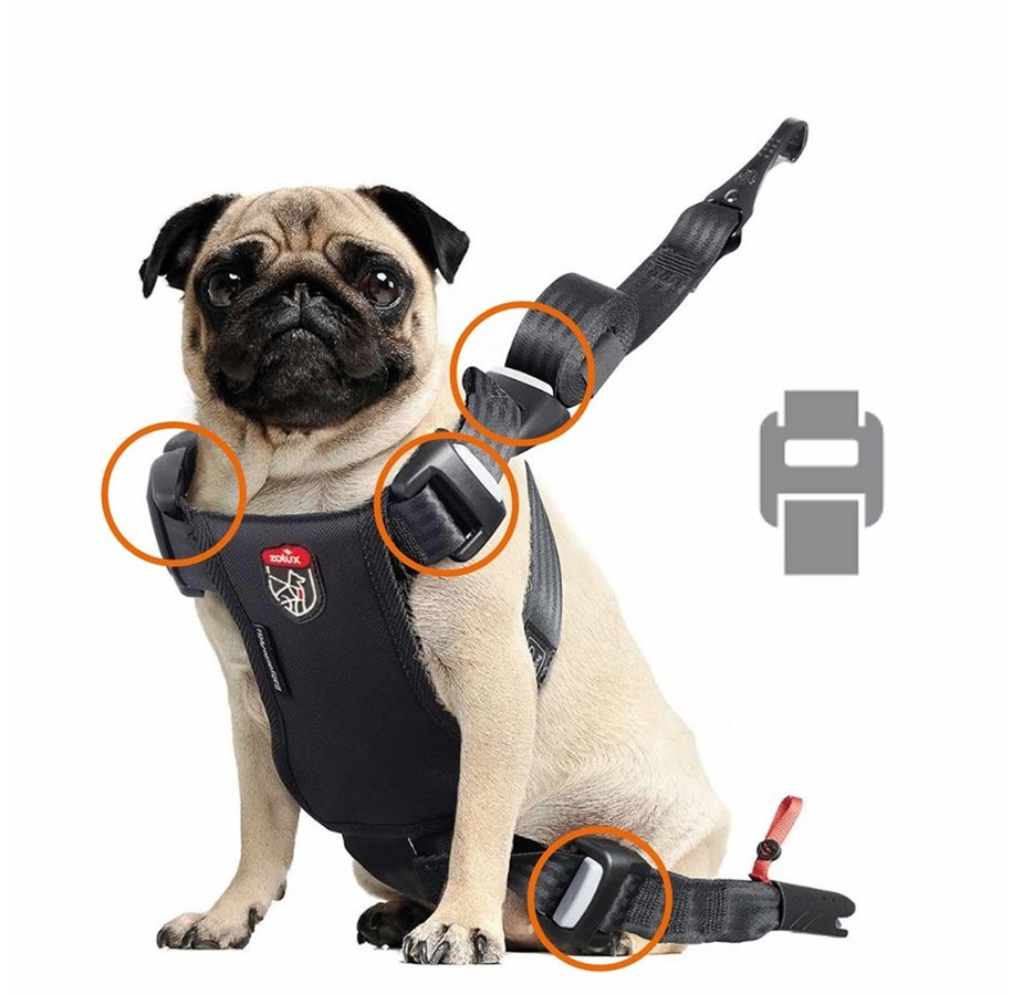 Hunde - Zolux Travel Safe Isofix Car Safety Harness Black Medium 14-26kg - 3336024621226
